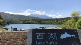 夏期合宿のおすすめ（受験生編）～インタビュー形式～